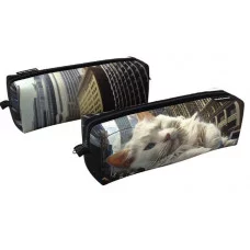 Пенал квадро ErichKrause 210x70x70мм Big City Cats 62871