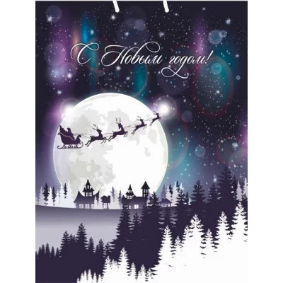 Dream cards Пакет подарочный с мат.лам.и тис.фол.26х32х10см(L)Волшебная луна,190г(соб.раз.)ПКП-6679