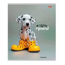 Тетрадь КЛЕТКА 48л. МИКС-3793 (48-3793) цвет. мелов. обл. 48-3793