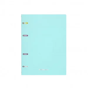 Тетрадь общая с пластиковой обложкой на кольцах ErichKrause Pastel Mint, А5, 80 листов, клетка 53702