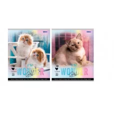 Тетрадь КЛЕТКА 48 л. ОЧАРОВАТЕЛЬНЫЕ КОТИКИ-1 (Т48-4363) цвет.мел. обл. Т48-4363