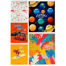 Тетрадь КЛЕТКА 48л. МИКС-6084 (48-6084) цвет. мелов. обл. 48-6084