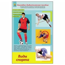 ДИДАКТИЧЕСКОЕ ПОСОБИЕ. формат А4. ВИДЫ СПОРТА (Арт. ПД-1779)