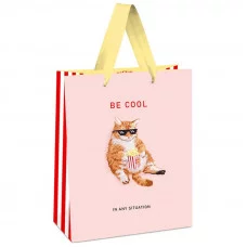 Пакет подарочный 1шт 11*14*6,5см MESHU "Be cool", выб. лак, матовая ламинация 339753