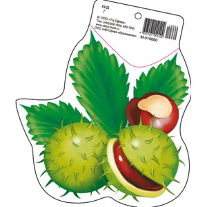 М-10660 Мини открытка Плоды каштана (190х160 мм) / (о) Детский сад Сфера