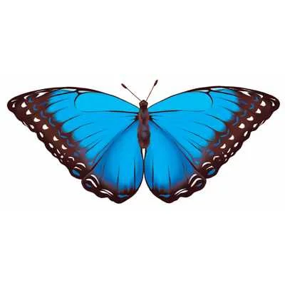 М-12484 Мини плакат Бабочка-1 (190х160 мм) 00-00011506