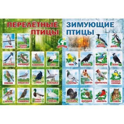 Плакат "Перелетные и зимующие птицы", изд.: Горчаков 460326294100371088
