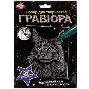 Гравюра 18*24 см Кот, серебряная МУЛЬТИ АРТ 334681