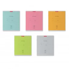 Тетрадь школьная ученическая ErichKrause® Классика Nature Colors ассорти, 12 листов, частая косая линейка  56286