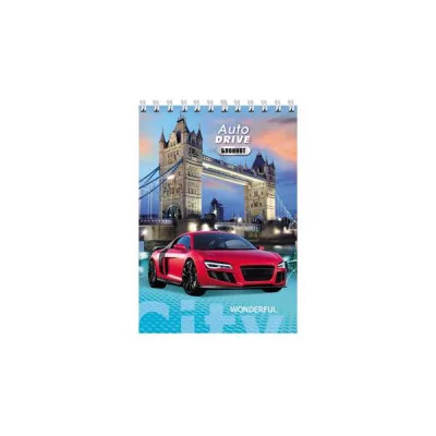 БЛОКНОТ А6 40л.на гребне МАШИНЫ И ГОРОД Б40-1376 ассорти,обл. картон хром,блок офсет