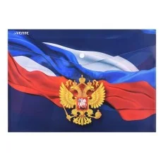 Папка-конверт на кнопке "Герб" A4 180 мкм, непрозрачная с рисунком, индивидуальная маркировка 3071219