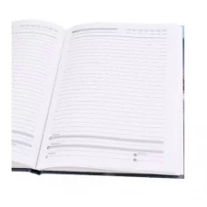 ЕЖЕДНЕВНИК А5, 80л. СЕРЫЙ АВТОМОБИЛЬ - 2 (80-0310) (7БЦ,глянц.ламин. цвет.мелов обл. недатиров.) 80-0310