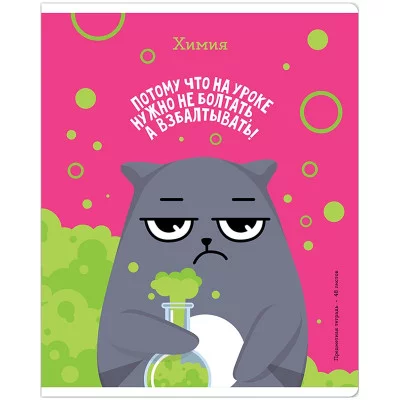Тетрадь предметная 48л. ArtSpace "Котоцинизм" - Химия, ТВИН-лак 332212