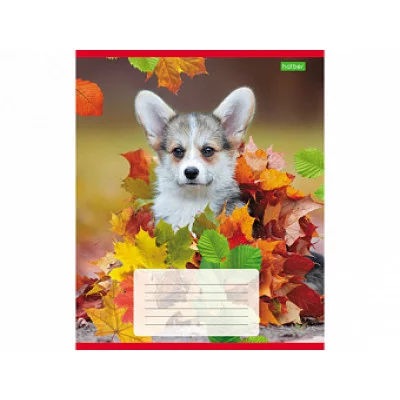 "ECO" Тетрадь 12л А5ф Класс "С" ЛИНИЯ на скобе серия -Верный друг- 063262 ТЛ1177