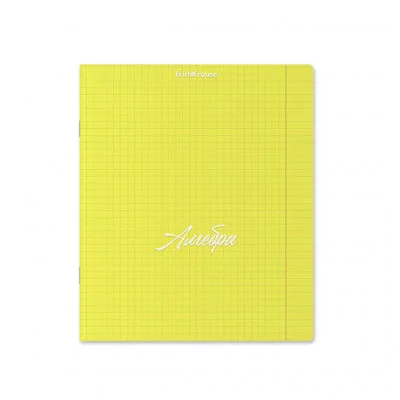 Тетрадь общая ученическая с пластиковой обложкой на скобе ErichKrause NEON, желтый, АЛГЕБРА, 48 листов, клетка 59562