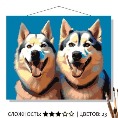 Картина по номерам на холсте 50х40 "Сибирские хаски" Знайленд КН5040598