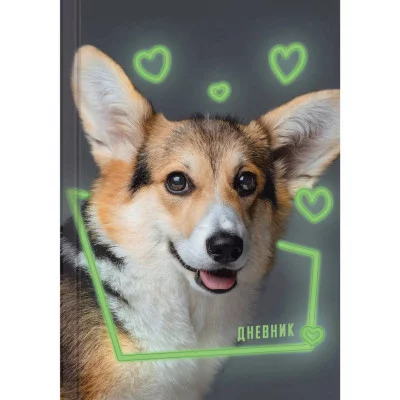 Дневник А5 48л "Домашние любимцы. Дизайн 3 (24)" КанцЭксмо ДДЛ244803