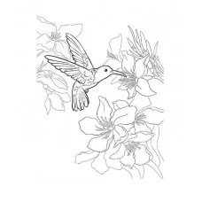 Самая лучшая раскраска. Животные Росмэн Котятова Н. И., Самая лучшая раскраска 978-5-353-10755-2