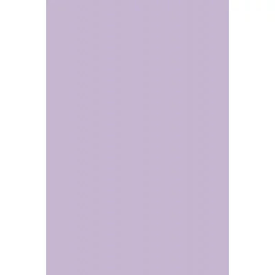 Цв. тонированная бумага А4, 10л. ПЭТ сиреневый