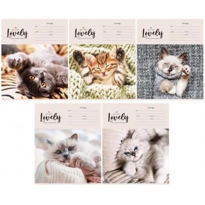 Тетрадь 24л., клетка ArtSpace "Питомцы. Lovely Cat", эконом 333245