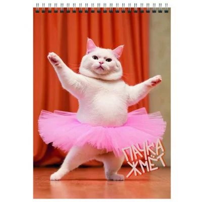 Блокнот А5 А5 60л "Балерина" КанцЭксмо БСК560376