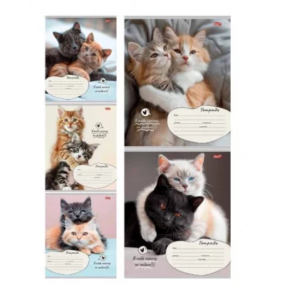 Тетрадь КЛЕТКА 12л. КОШАЧЬИ ПАРОЧКИ (12-4281) цвет. мелов.обл. 12-4281