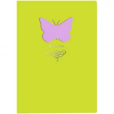 КНИГА ДЛЯ ЗАПИСЕЙ А5 ИСКУССТВЕННАЯ КОЖА SOFT TOUCH Butterfly. Салатовый КЗБФЛ5802932