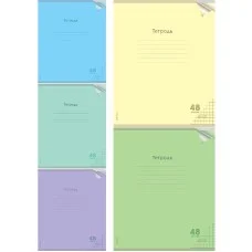 Тетрадь КЛЕТКА 48л. проз.пласт.обл. plastic cover КЛАССИКА NEW ассорти 48-1470