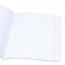 Тетрадь КЛЕТКА 48л. НАТЮРМОРТЫ (48-3919) твин-лак, цвет.мелов.обл. 48-3919