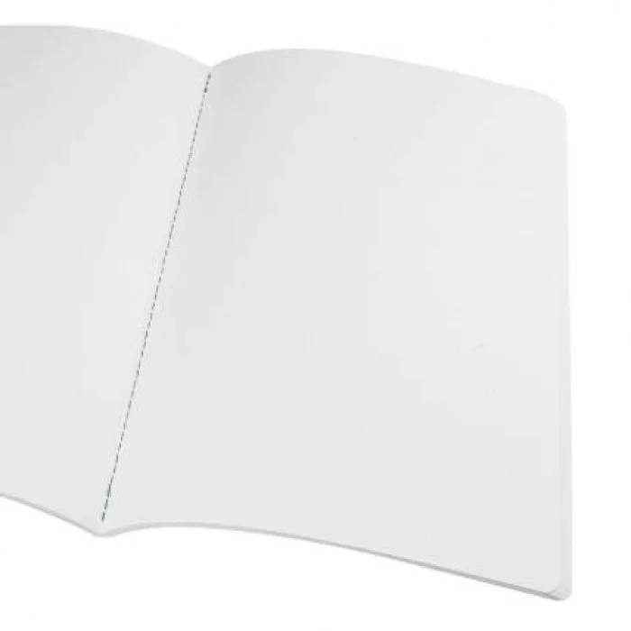 Скетчбук А4 20л. ВЫСТУПЛЕНИЕ БАЛЕРИН - 1 20-0310