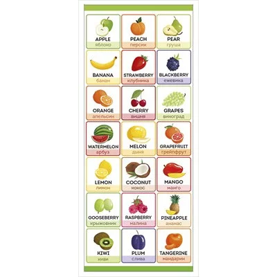 Магнитная закладка "Фрукты и ягоды (английский язык)" 63.588.00