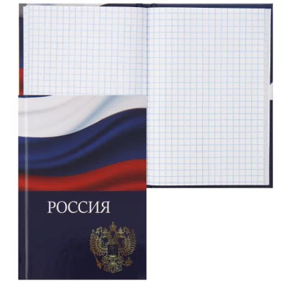 Книжка записная А6 105*148 48л клетка склейка тв обл 7Бц KLERK Россия 241107