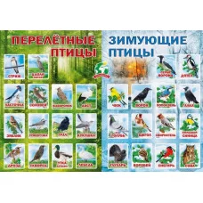 Плакат "Перелетные и зимующие птицы", изд.: Горчаков 460326294100371088