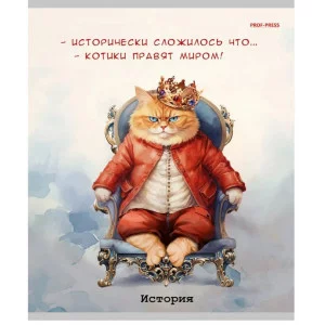 Тетрадь КЛЕТКА 48л. ИСТОРИЯ «ЖИЛ БЫЛ КОТ» стандарт, б/о TM Prof-Press Т48-1448