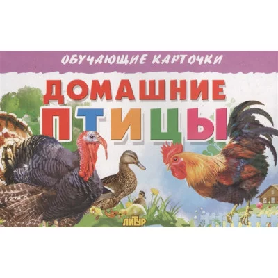 Обучающие карточки Карточки. Домашние птицы