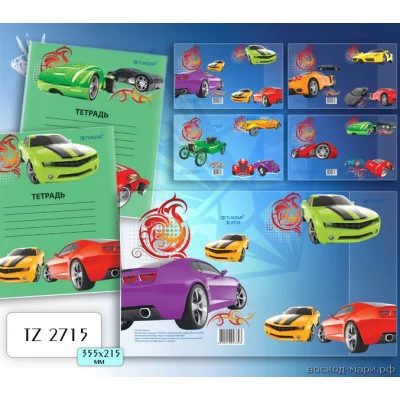 Комплект обложек для тетрадей мальчиков 5 шт.в комплекте TZ 2715