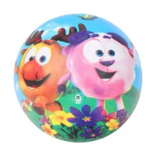 Мяч пвх 23 см Смешарики полноцвет, в сетке ИГРАЕМ ВМЕСТЕ  386114