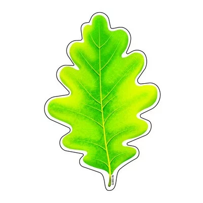 М-10870 Мини открытка Листочки Дуб зеленый