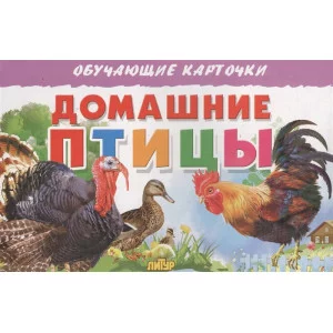 Обучающие карточки Карточки. Домашние птицы