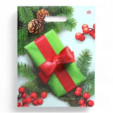 Пакет с прорубной ручкой ТИКО Калина в подарок 40*31 18008