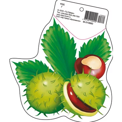 М-10660 Мини открытка Плоды каштана (190х160 мм) / (о) Детский сад Сфера