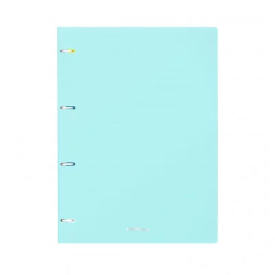 Тетрадь общая с пластиковой обложкой на кольцах ErichKrause® Pastel Mint, А4, 80 листов, клетка 53703