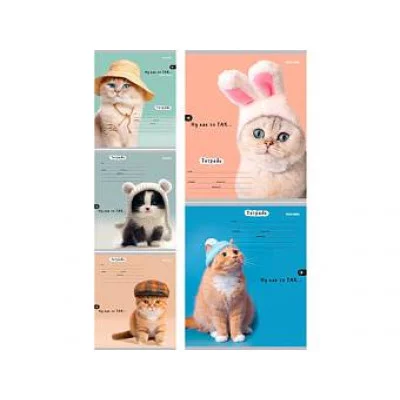 Тетрадь КЛЕТКА 24л. ГОЛОВНЫЕ УБОРЫ КОТОВ (24-5795) цвет.мелов.обл.. 225801