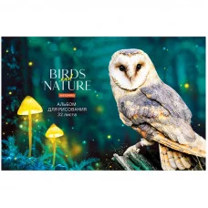 Альбом для рисования 32л А4 на скрепке ArtSpace Животные Birds and nature 311506