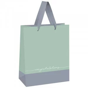 Пакет подарочный 1шт 18*23*10см MESHU "Duotone. Gray-mint", отд. фольгой, матовая ламинация 339784