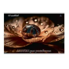 Альбом для рисования А4 40л., Alingar, на скрепке, мелованный картон (стандарт), 100 г/м2,  "Цветы", 2 дизайна в пленке т/у AL13158