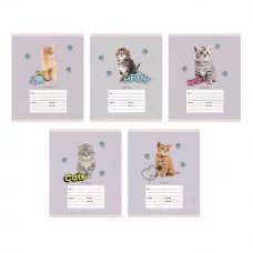 Тетрадь А5 18л "Мяу!"  КанцЭксмо ТЛЛ187582
