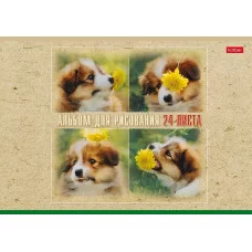 Альбом для рисования 24л скрепка мелов Ассорти ассорти HATBER 014111