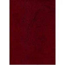 Ежедневник А6, 96л. БОРДО (96БВ-3998) бумвинил, недатир.