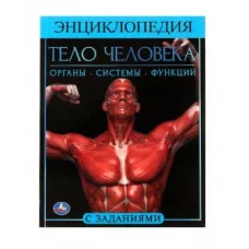 Тело человека Энциклопедия А4 197х255мм 48 стр мелов бумага тв переплет Умка 978-5-506-06178-6